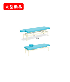 電動フェスタ
